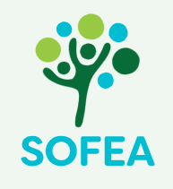 SOFEA Launches Exciting Materials Science Lab to Inspire Local Youth